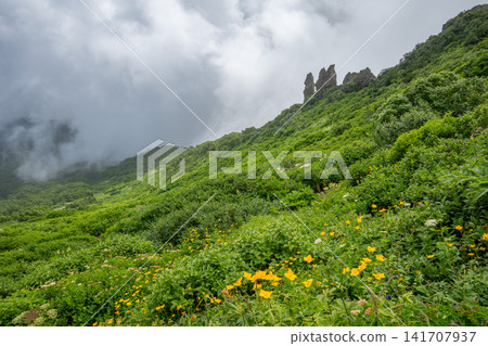 北海道黑岳登山途中的風景 141707937