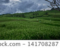 Bali, Indonesia-April 23 2023: Jatiluwih Rice Terraces Scenic area with verdant, undulating rice terraces in the heart of Tabanan Regency attracting hikers, cyclists and photographers. Bali, Indonesia-April 23 2023: Jatiluwih Rice Terraces Scenic area with verdant, undulating rice terraces in the heart of Tabanan Regency attracting hikers, cyclists and photographers. 141708287