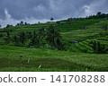 Bali, Indonesia-April 23 2023: Jatiluwih Rice Terraces Scenic area with verdant, undulating rice terraces in the heart of Tabanan Regency attracting hikers, cyclists and photographers. Bali, Indonesia-April 23 2023: Jatiluwih Rice Terraces Scenic area with verdant, undulating rice terraces in the heart of Tabanan Regency attracting hikers, cyclists and photographers. 141708288