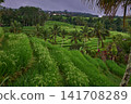 Bali, Indonesia-April 23 2023: Jatiluwih Rice Terraces Scenic area with verdant, undulating rice terraces in the heart of Tabanan Regency attracting hikers, cyclists and photographers. Bali, Indonesia-April 23 2023: Jatiluwih Rice Terraces Scenic area with verdant, undulating rice terraces in the heart of Tabanan Regency attracting hikers, cyclists and photographers. 141708289