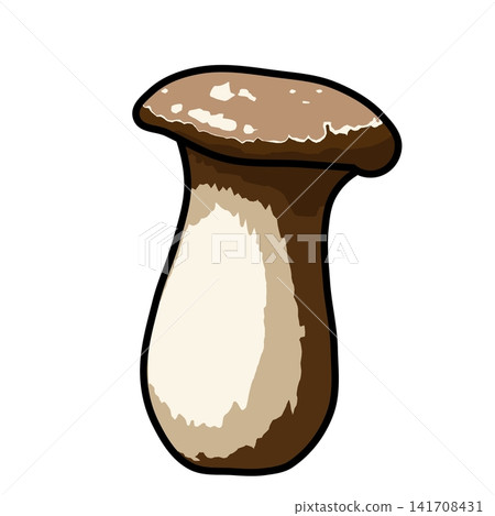 King Oyster Mushroom Black and White Vector Illustration King Oyster Mushroom Black and White Vector Illustration 141708431
