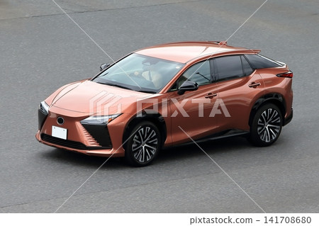 domestic electric vehicle domestic electric vehicle 141708680
