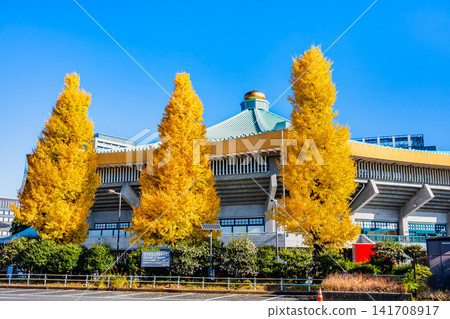 Nippon Budokan Nippon Budokan 141708917