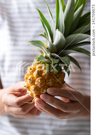 Fresh ripe pineapple holding by woman hand, tropical fruit in summer, healthy food and lifestyle Fresh ripe pineapple holding by woman hand, tropical fruit in summer, healthy food and lifestyle 141709073