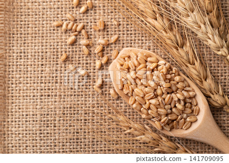 Whole wheat grain in a wooden scoop, Food ingredients, Top view Whole wheat grain in a wooden scoop, Food ingredients, Top view 141709095
