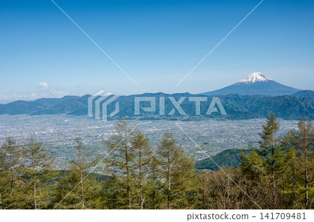 從甘利山登山道上可以看到甲府盆地和白雪皚皚的富士山。 從甘利山登山道上可以看到甲府盆地和白雪皚皚的富士山。 141709481
