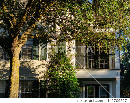 A large oak tree partially shades the balcony of a modern residential house. Sunlight highlights the elegant architecture in a quiet suburban neighborhood. A large oak tree partially shades the balcony of a modern residential house. Sunlight highlights the elegant architecture in a quiet suburban neighborhood. 141709817