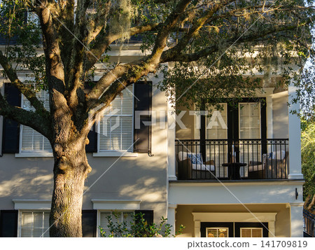 A mature oak tree with hanging Spanish moss stands in front of a modern residential house. Warm sunlight highlights the balcony and elegant architecture in a quiet suburban neighborhood. A mature oak tree with hanging Spanish moss stands in front of a modern residential house. Warm sunlight highlights the balcony and elegant architecture in a quiet suburban neighborhood. 141709819
