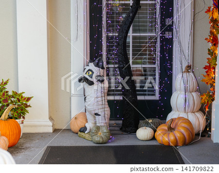 Pumpkins, decorative lights, and Halloween ornaments decorate a welcoming residential front entrance. A mummy cat figure and stacked pumpkins create a festive autumn holiday scene. 141709822