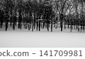 A high-contrast, monochrome snowscape. 141709981