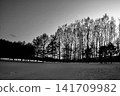 A high-contrast, monochrome snowscape. 141709982