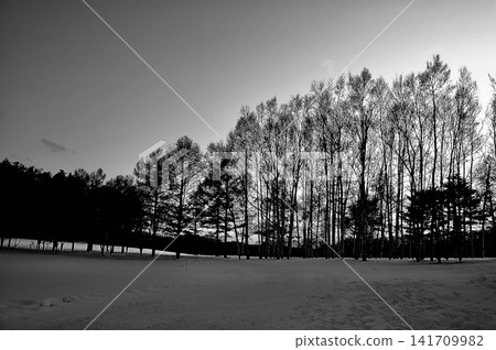 A high-contrast, monochrome snowscape. A high-contrast, monochrome snowscape. 141709982
