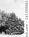A high-contrast, monochrome snowscape. 141709983