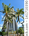 Holidays in Hawaii 141710390