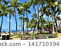 Holidays in Hawaii 141710394