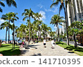 Holidays in Hawaii 141710395