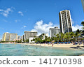 Holidays in Hawaii 141710398
