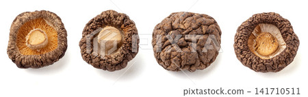 dried Brown Cap Shiitake Mushrooms High In Umami Savory Flavor dried Brown Cap Shiitake Mushrooms High In Umami Savory Flavor 141710511