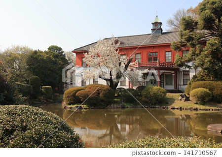 小石川植物園的景色,東京大學博物館就坐落於此。 小石川植物園的景色,東京大學博物館就坐落於此。 141710567