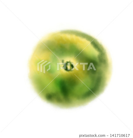 Watercolor illustration of a mandarin orange, soft green citrus fruit Watercolor illustration of a mandarin orange, soft green citrus fruit 141710617
