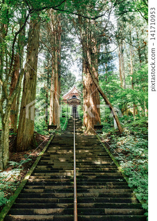 [戶隱，長野市] 戶隱神社，法古舍神社，石階，通往神社的路 141710953