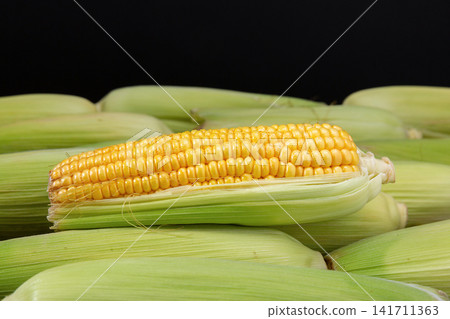 fresh green sweet corn with husks and cooked corn segments on plate fresh green sweet corn with husks and cooked corn segments on plate 141711363