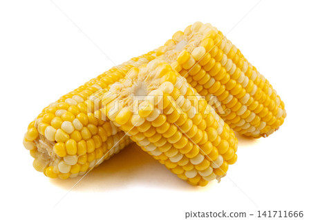boiled fruit sweet corn cobs and cut segments isolated on white background boiled fruit sweet corn cobs and cut segments isolated on white background 141711666