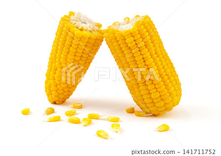 boiled yellow waxy sweet corn cobs stack isolated on white background boiled yellow waxy sweet corn cobs stack isolated on white background 141711752