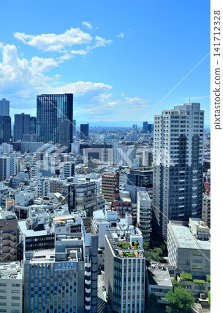 東京新宿 - 從歌舞伎町塔看到的新宿副中心風景 東京新宿 - 從歌舞伎町塔看到的新宿副中心風景 141712328