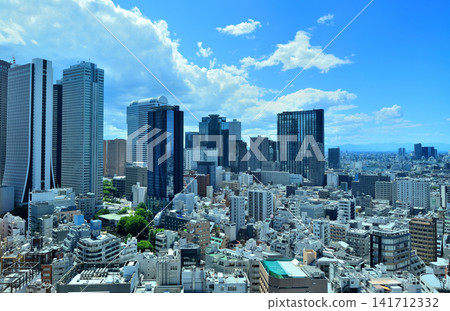 東京新宿 - 從歌舞伎町塔看到的新宿副中心風景 東京新宿 - 從歌舞伎町塔看到的新宿副中心風景 141712332