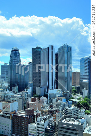 東京新宿 - 從歌舞伎町塔看到的新宿副中心風景 東京新宿 - 從歌舞伎町塔看到的新宿副中心風景 141712334