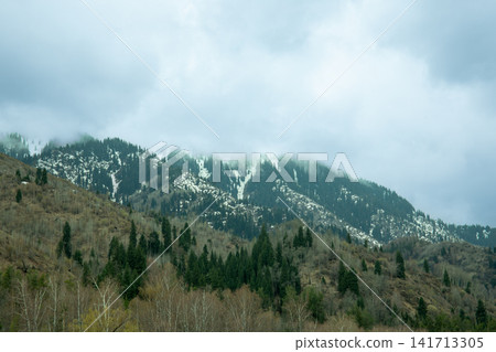 Mountains shrouded in mist overlook a tranquil forest in spring Mountains shrouded in mist overlook a tranquil forest in spring 141713305