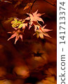 Vibrant autumn leaves illuminated by gentle sunlight 141713374