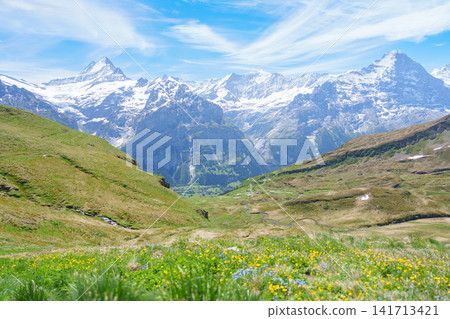 Scenic view of Swiss Alps with Grindelwald Swiss chalet village at Grindelwald First, Switzerland. Beautiful landscape in Jungfrau Region. famous Europe summer hiking trail and travel destination Scenic view of Swiss Alps with Grindelwald Swiss chalet village at Grindelwald First, Switzerland. Beautiful landscape in Jungfrau Region. famous Europe summer hiking trail and travel destination 141713421