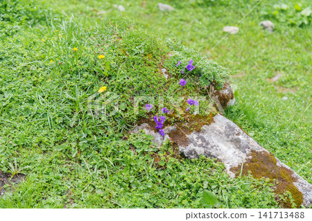 Scenic landscape of Oeschinensee or turquoise Oeschinen Lake in summer under blue sky with wildflowers and Stunning Swiss Alps. Spectacular green meadow hiking trail view, Kandersteg, Switzerland Scenic landscape of Oeschinensee or turquoise Oeschinen Lake in summer under blue sky with wildflowers and Stunning Swiss Alps. Spectacular green meadow hiking trail view, Kandersteg, Switzerland 141713488