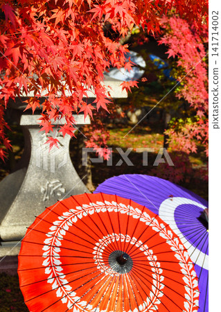 Kyoto, Shorinji Temple: Beautiful autumn foliage (Higashiyama Ward, Kyoto City, Kyoto Prefecture) Kyoto, Shorinji Temple: Beautiful autumn foliage (Higashiyama Ward, Kyoto City, Kyoto Prefecture) 141714002