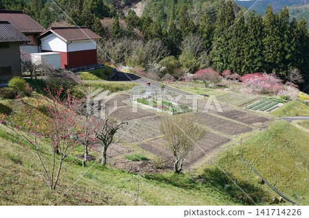 Springtime in Okumikawa Springtime in Okumikawa 141714226