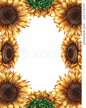 Frame with sunflowers. Hand-drawn watercolor illustration. Perfect for postcards, greeting cards, invitations, decor, packaging and labels, banners, posters, and more. Frame with sunflowers. Hand-drawn watercolor illustration. Perfect for postcards, greeting cards, invitations, decor, packaging and labels, banners, posters, and more. 141714229