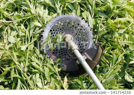 Grass trimmer Grass trimmer 141714238