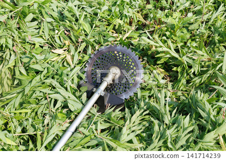Grass trimmer Grass trimmer 141714239