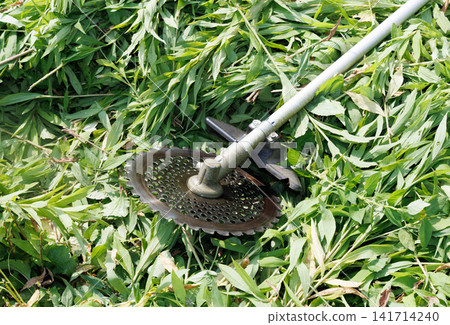 Grass trimmer Grass trimmer 141714240