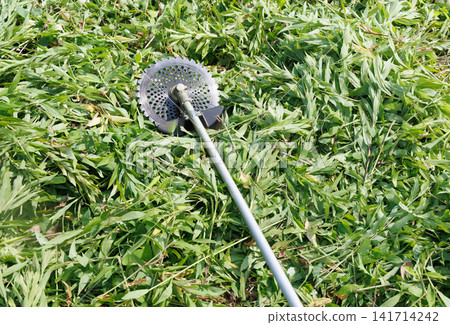 Grass trimmer Grass trimmer 141714242