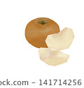 Illustration of a Japanese pear - a red pear 141714256