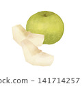Japanese pear - illustration of a green pear 141714257