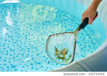 Person cleaning swimming pool with skimmer net Person cleaning swimming pool with skimmer net 141714350
