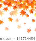 Watercolor illustration of autumn-colored maple leaves 141714454