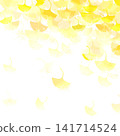 Yellow ginkgo biloba leaves 141714524