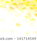 Yellow ginkgo biloba leaves 141714549