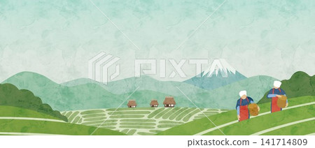 An illustration of a tea plantation landscape, evoking the season of new tea. An illustration of a tea plantation landscape, evoking the season of new tea. 141714809
