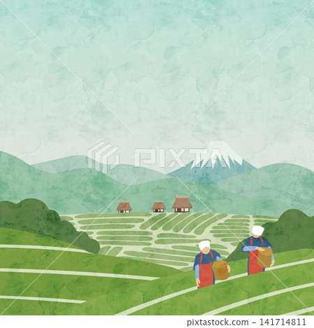 An illustration of a tea plantation landscape, evoking the season of new tea. An illustration of a tea plantation landscape, evoking the season of new tea. 141714811